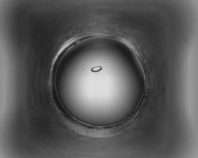 X0000086760008200704201754