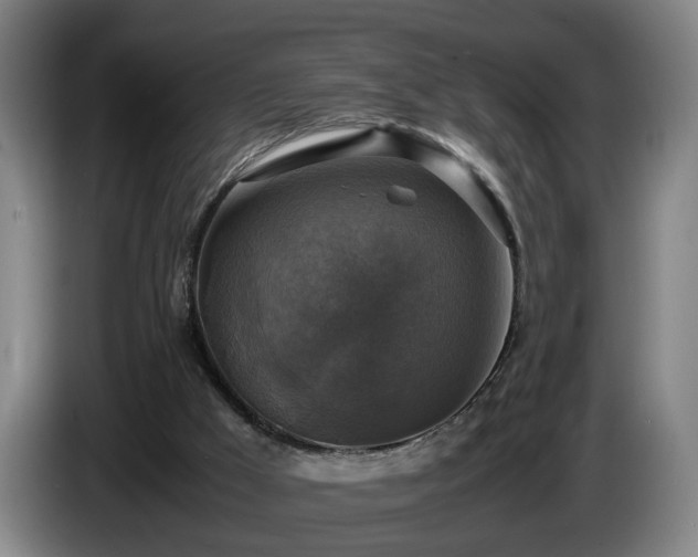 X0000086760009200704201754