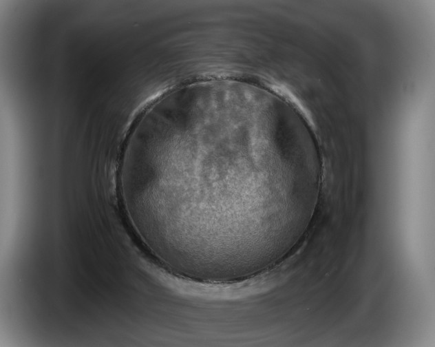 X0000086760010200704201754