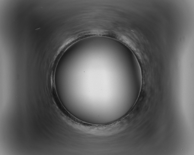 X0000086760011200704201754