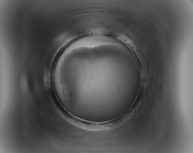 X0000086760012200704201754