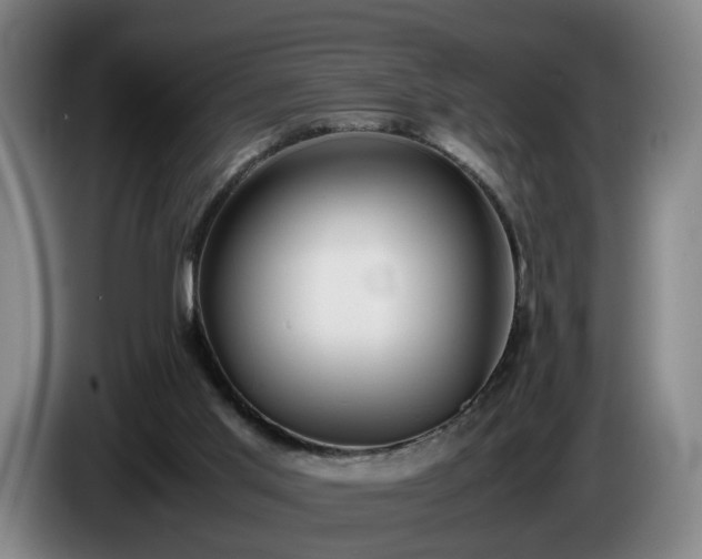 X0000086760013200704201754