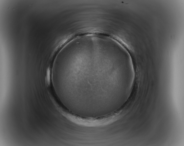 X0000086760014200704201754