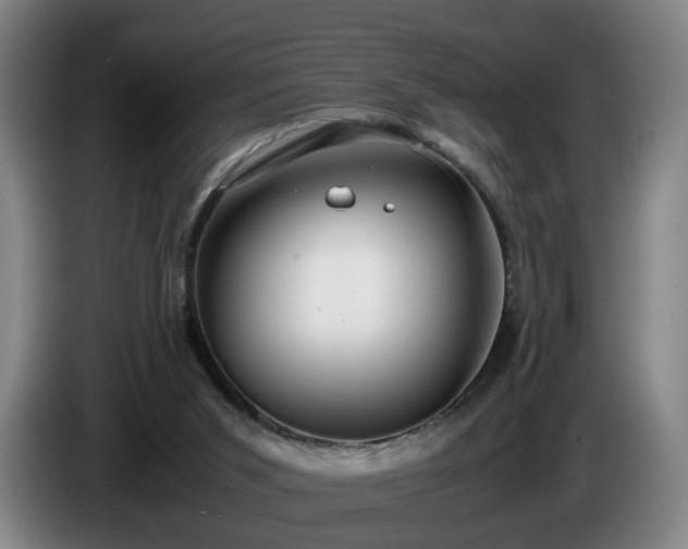 X0000086760015200704201754