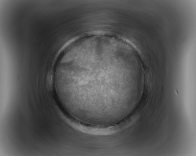 X0000086760016200704201754