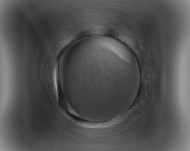 X0000086760017200704201754