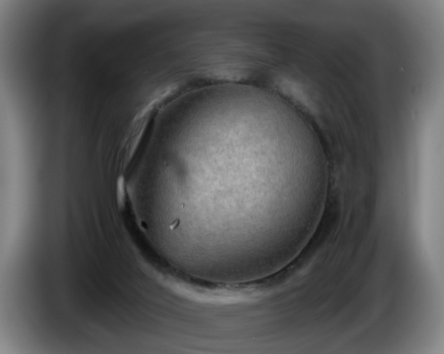 X0000086760020200704201754