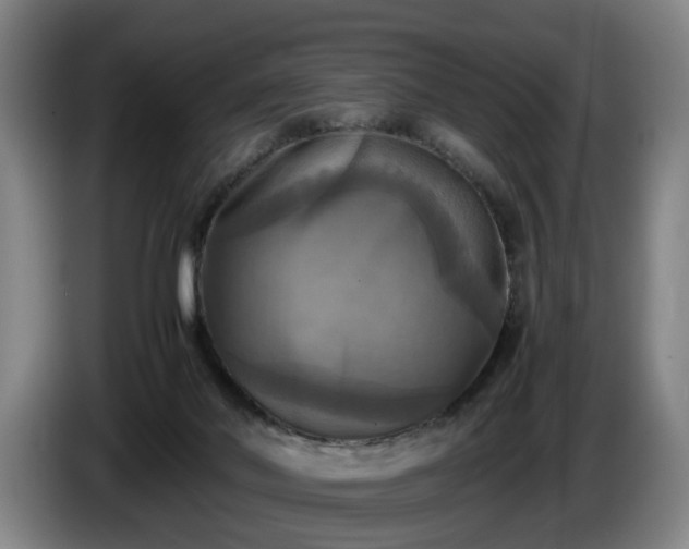 X0000086760022200704201754