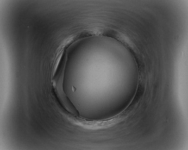 X0000086760023200704201754