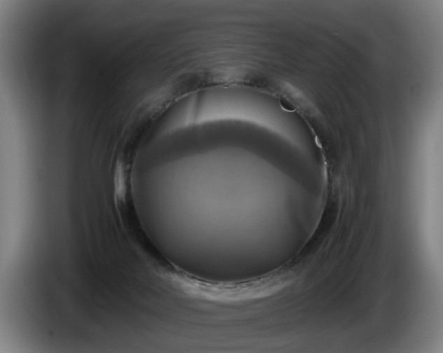 X0000086760026200704201754