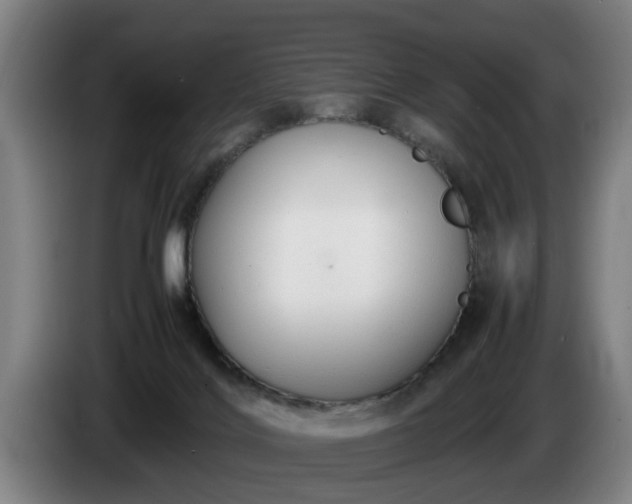 X0000086760028200704201754