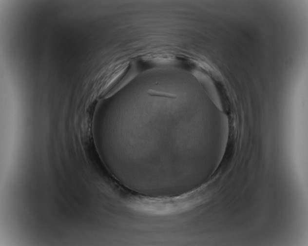 X0000086760029200704201754