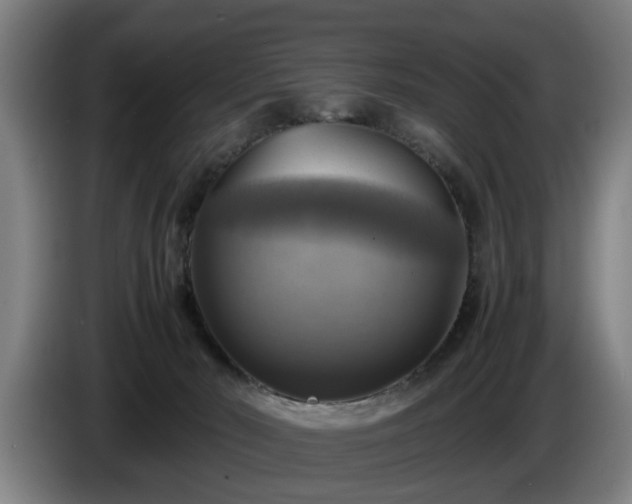 X0000086760030200704201754