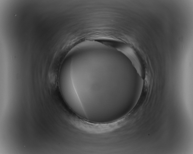 X0000086760031200704201754