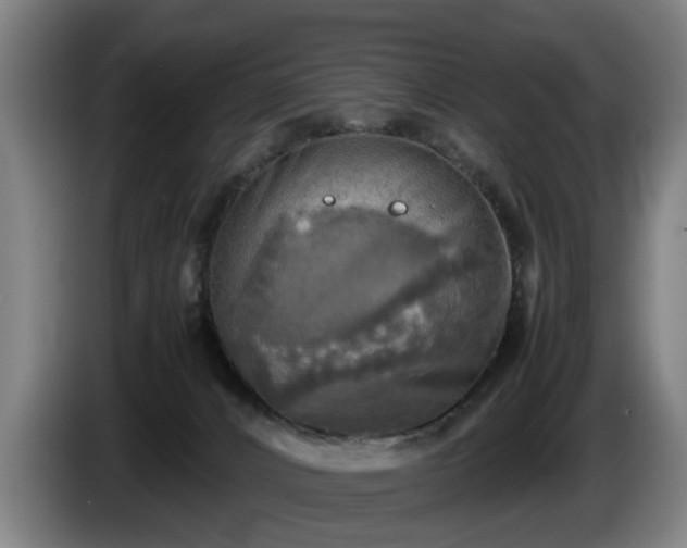 X0000086760032200704201754