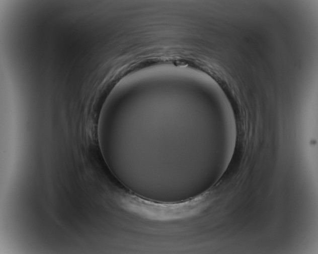 X0000086760035200704201754