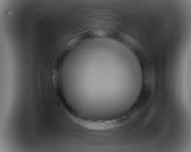 X0000086760036200704201754