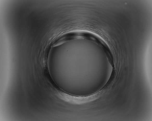 X0000086760039200704201754