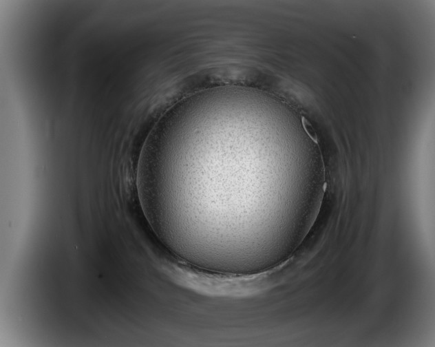 X0000086760040200704201754