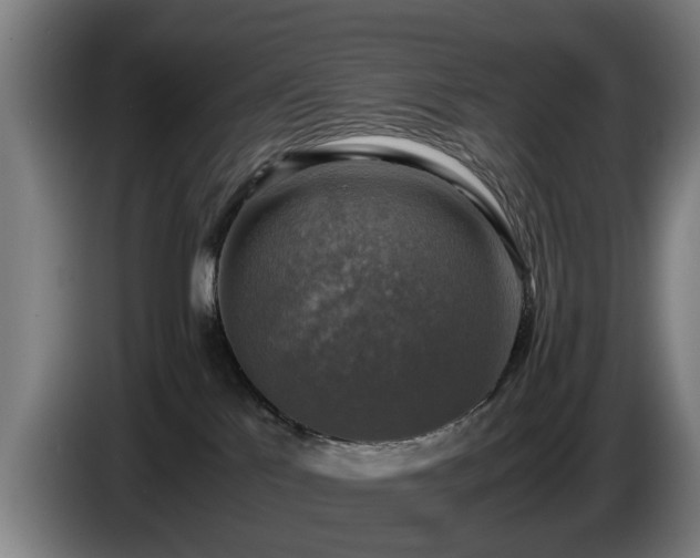 X0000086760041200704201753