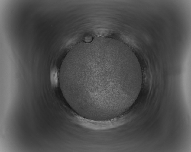 X0000086760042200704201753