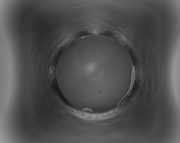 X0000086760043200704201753