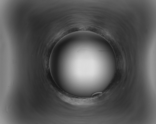 X0000086760044200704201753