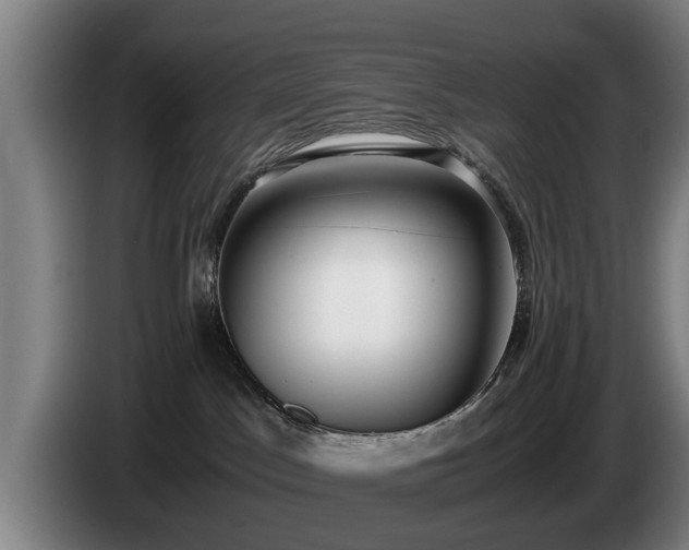 X0000086760045200704201753