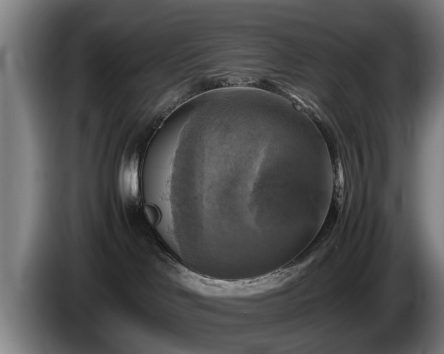 X0000086760046200704201753