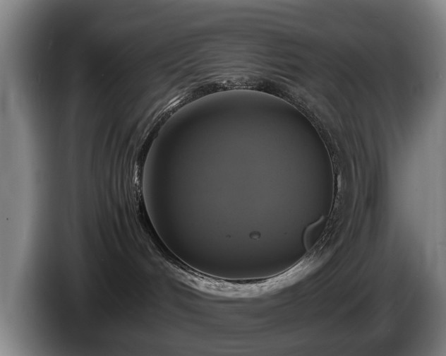 X0000086760048200704201753