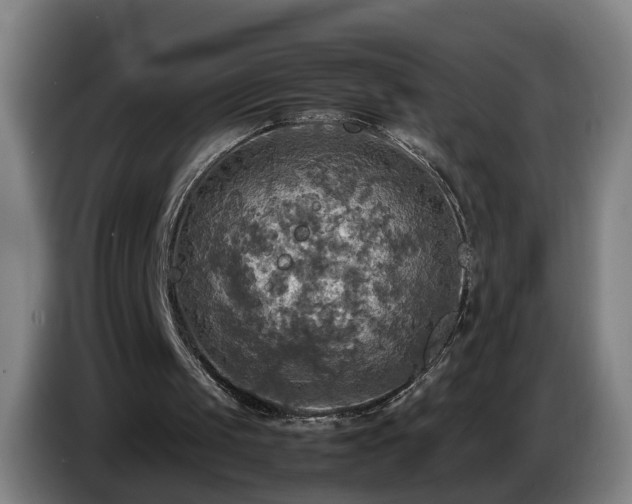 X0000086760049200704201753