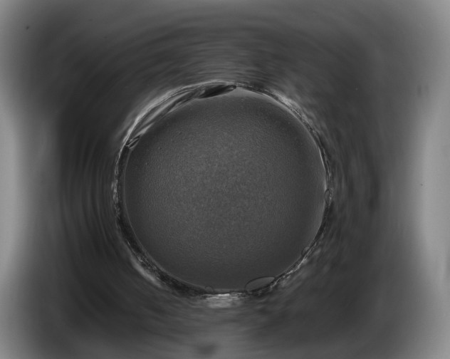 X0000086760050200704201753