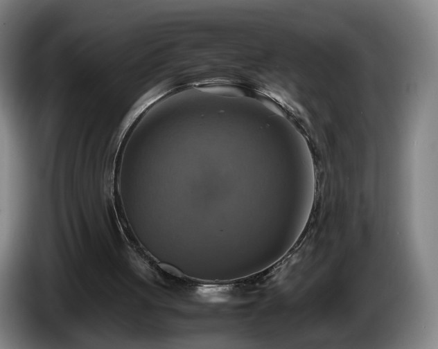 X0000086760051200704201753