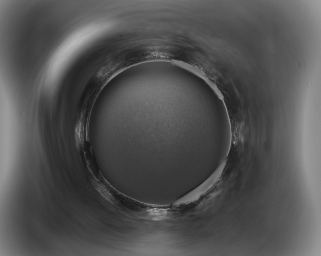 X0000086760052200704201753