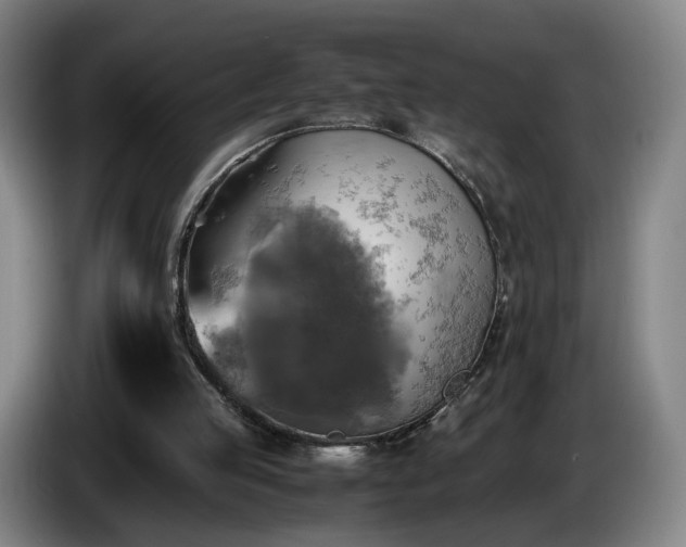 X0000086760053200704201753