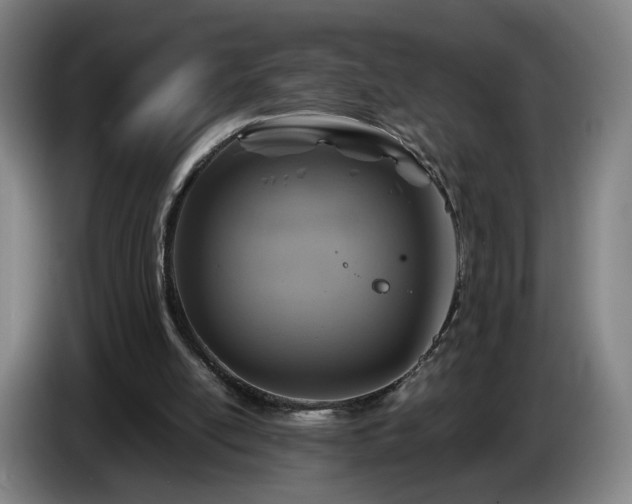 X0000086760054200704201753