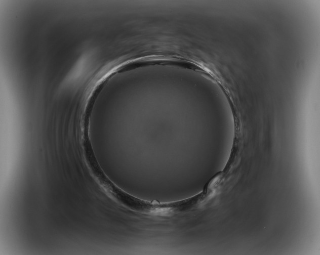 X0000086760055200704201753