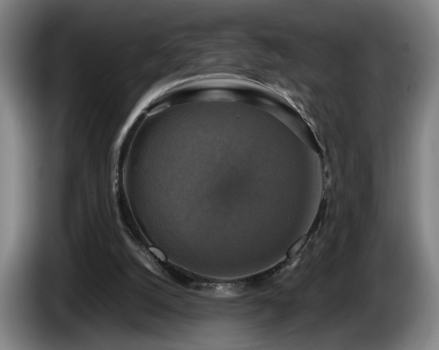 X0000086760056200704201753