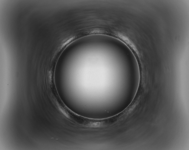 X0000086760057200704201753