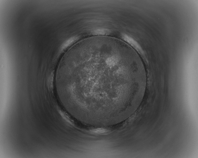 X0000086760058200704201753