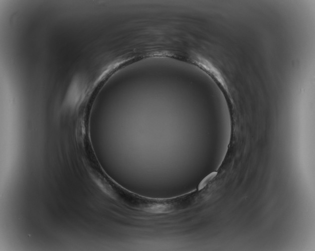 X0000086760059200704201753