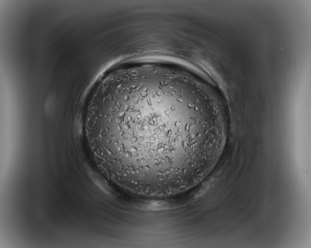 X0000086760060200704201753