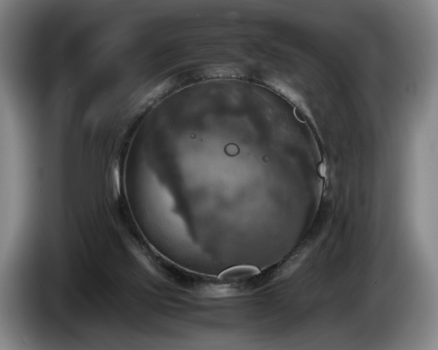 X0000086760061200704201753