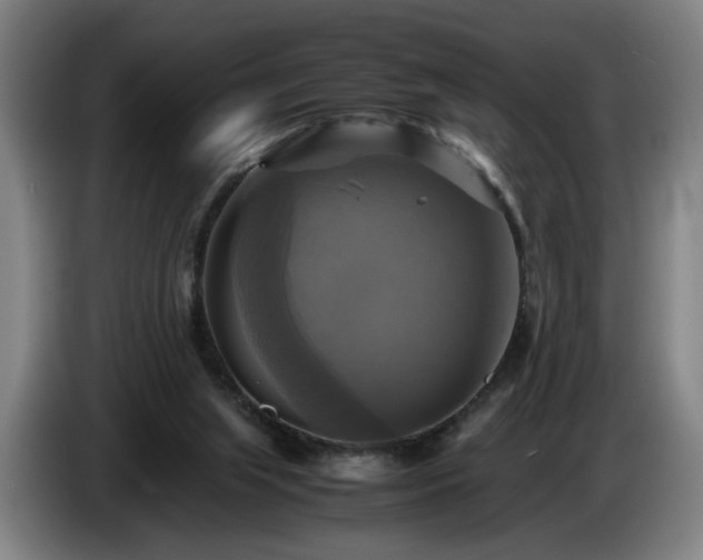 X0000086760063200704201753