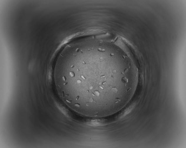 X0000086760064200704201753