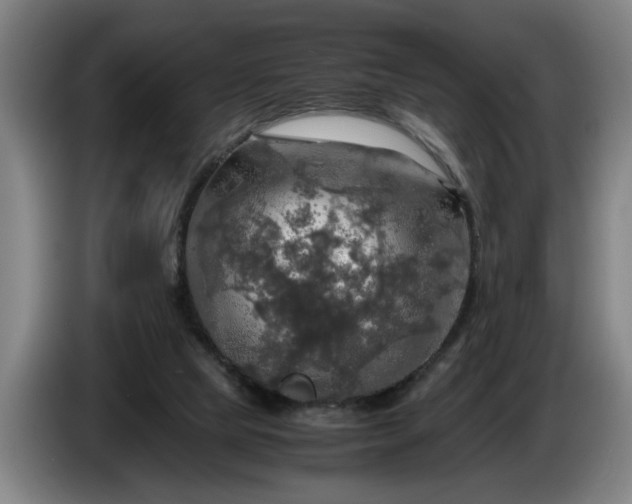 X0000086760065200704201753