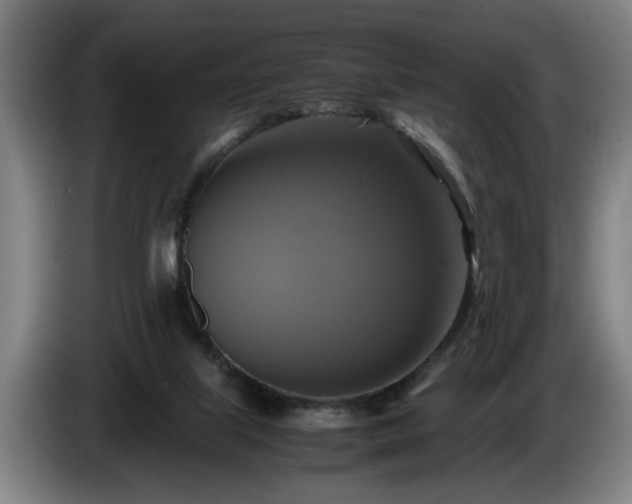 X0000086760067200704201753