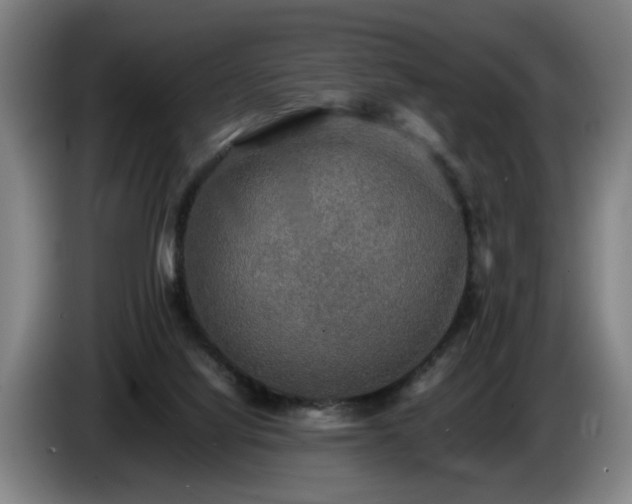 X0000086760068200704201753