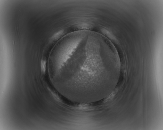 X0000086760070200704201753