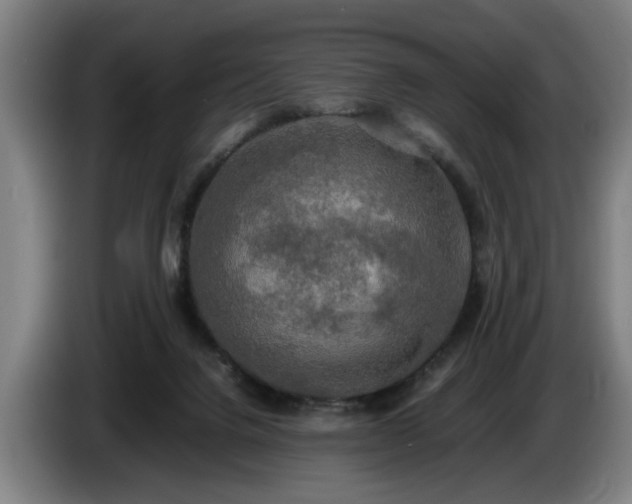 X0000086760072200704201753